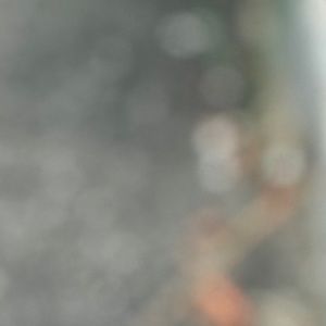 Meet your Posher, Jack